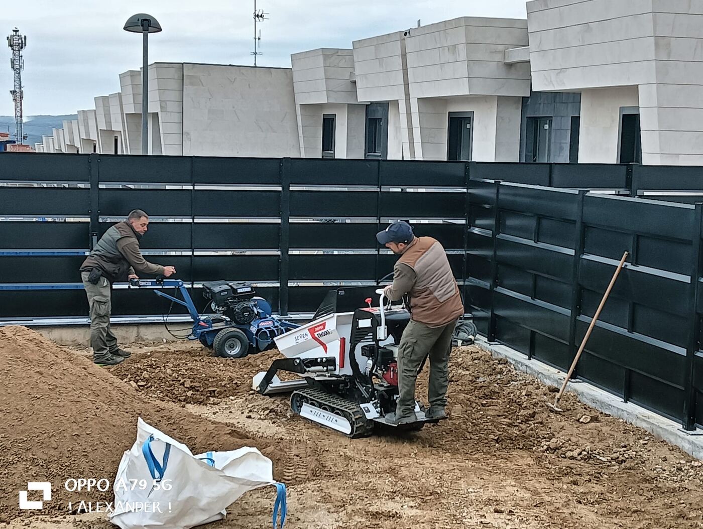 Poda de pino con plataforma elevadora