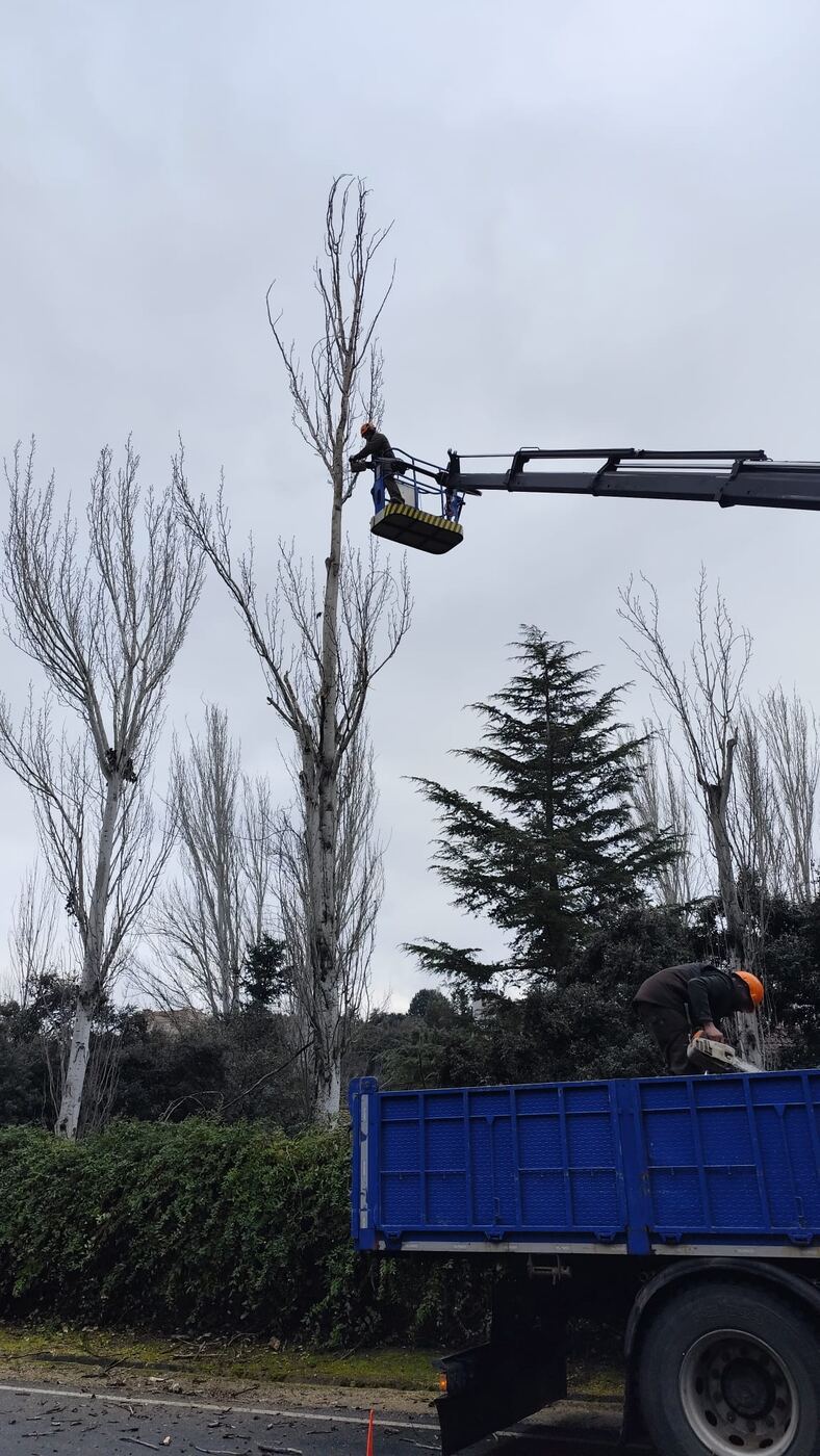 Trabajo en altura con plataforma elevadora